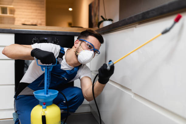 Best Rat Extermination Near Me  in Neshanic Station, NJ