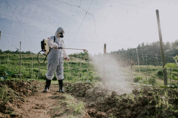 Best Mosquito Control Services  in Neshanic Station, NJ