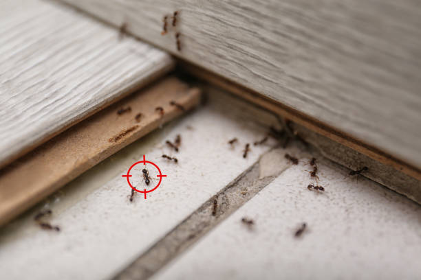 Best Wildlife Control Services  in Neshanic Station, NJ