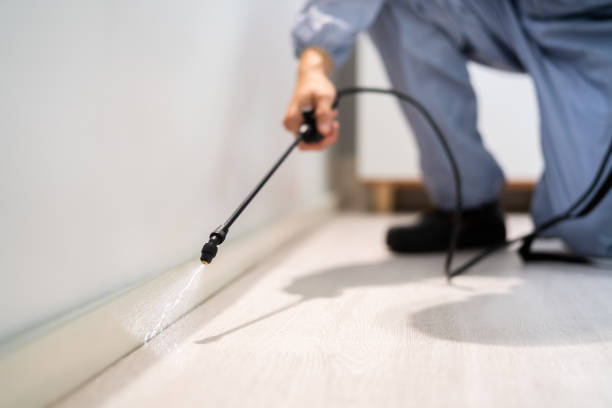 Best Exterminator Services  in Neshanic Station, NJ