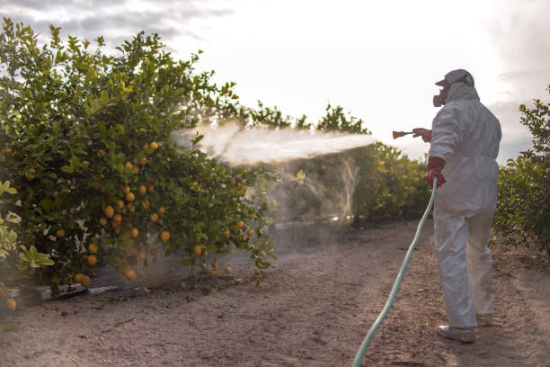  Neshanic Station, NJ Pest Control Pros