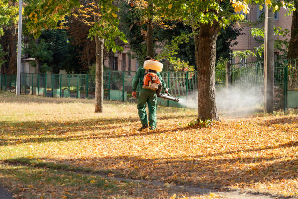 Best Cockroach Control Services  in Neshanic Station, NJ