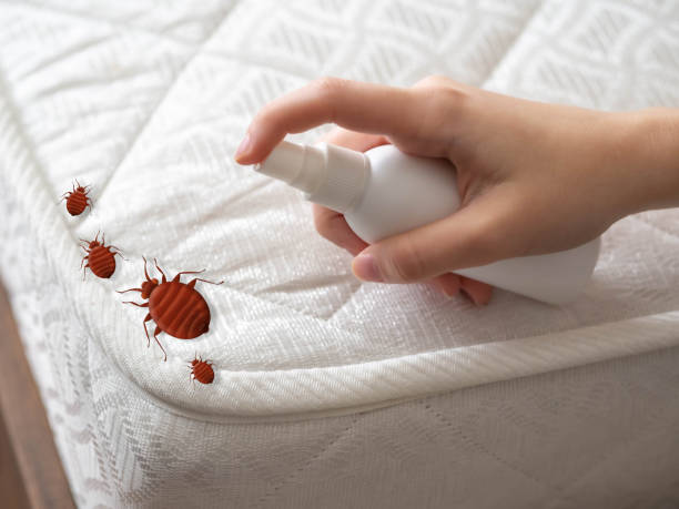 Insect Control in Neshanic Station, NJ