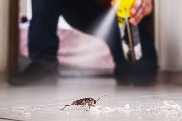  Neshanic Station, NJ Pest Control Pros