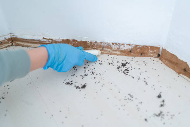 Best Affordable Pest Control Services  in Neshanic Station, NJ