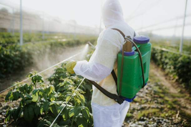 Best Insect Control  in Neshanic Station, NJ